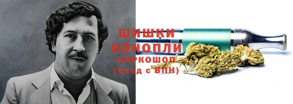 молекула духа Зеленокумск