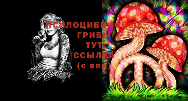 эйфоретик Зеленодольск