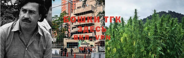 эйфоретик Зеленодольск