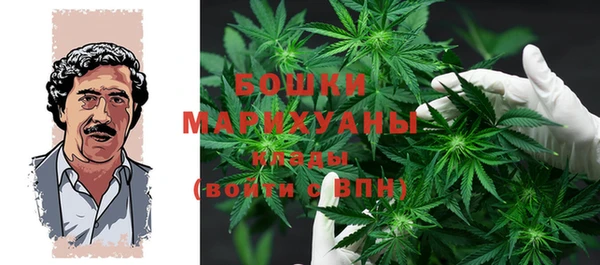 молекула духа Зеленокумск