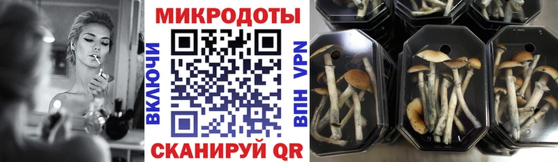 Псилоцибиновые грибы GOLDEN TEACHER  Купить закладки  Великий Устюг 